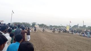Horse  game punjabi culture