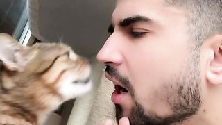 cat love with man #shorts
