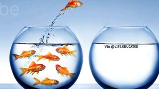 Deep meaning motivational video, motivational picture with deep meanings