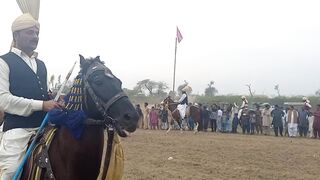 Punjab cultural horse festival