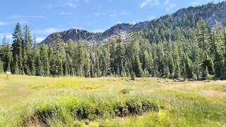 Nature video # relaxing music