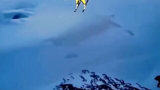 Sliding game very amazing video