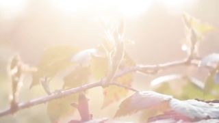 nature sounds