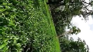 Short video
