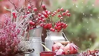 A beautiful video of my collection