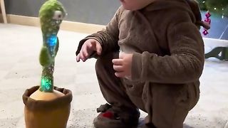 Plants  toy