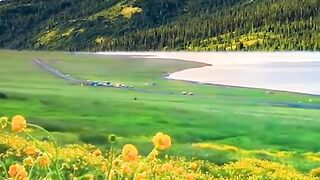 Beautiful Scenery