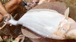 Amazing Fish Cutting Skills