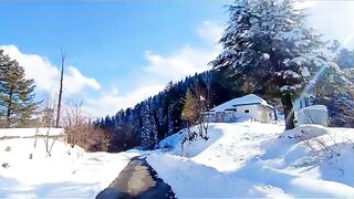 pakistan'beauty