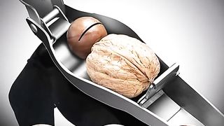 New Walnut 304 Stainless Steel Clip Walnut Nut Bottle Opener Multifunctional Sheller Kitchen Gadgets Utilities Household - Fruit & Vegetable
