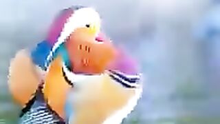 Amazing videos