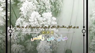 Urdu status