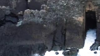 Wild nature videos