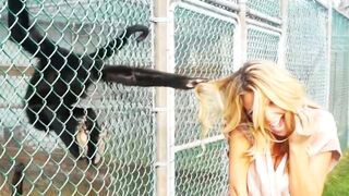 Funny Animals Top 50 Viral Videos , Funny Dogs Cats Pets And Animals Viral Videos