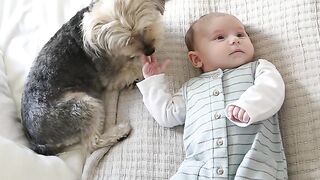 Baby  cuteness love videos ????