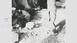 Veriy_best_vedeo_shorts_