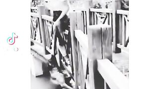 Veriy_best_shorts_vedeo_