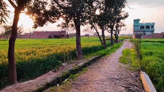 Subha