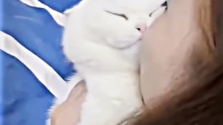 Cat cute
