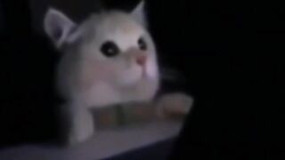 Tik Tok FUNNY CATS MOMENTS #2