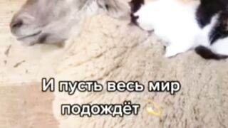 И пусть весь мир подождёт.)))
