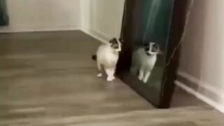 Ух ты! А ты кто такой??)))