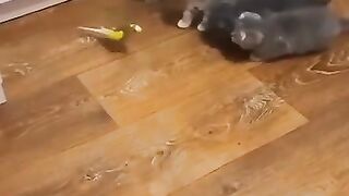 Когда прислали практикантов.)))