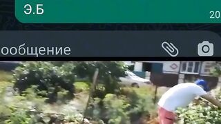Приколы 15