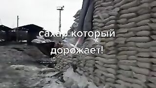 Сахр который дорожает
