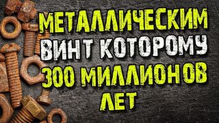Обнаружен древний камень с металлическим винтом которому 300 миллионов лет