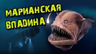 Марианская впадина / Марианский желоб / Интересные факты