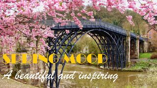 Spring Mood