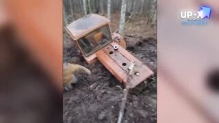 ЛУЧШИЕ ПРИКОЛЫ