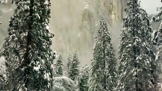 Могучая и величественная природа.