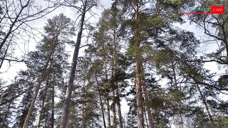 Красота! 2