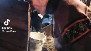 Рабочий график