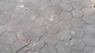 В Гамбурге машины с Русскими номерами разбивают и отрывают номера.