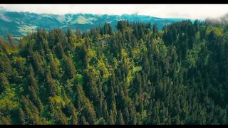 Drone Footage