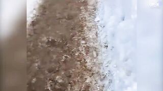 ЗАСМЕЯЛСЯ - ПОДПИСАЛСЯ!! ЛУЧШИЕ ПРИКОЛЫ 2022 ТЕСТ НА ПСИХИКУ УГАР!