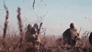 Василина - Джавеліне
