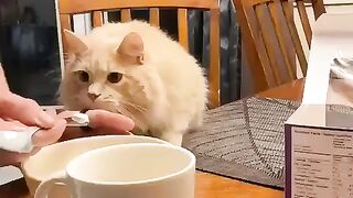 What did you give me Ты что мне дал