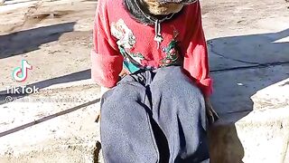 Собачки приколы