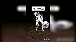 ТИК Ток