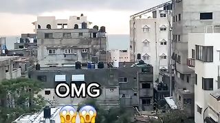 New videos