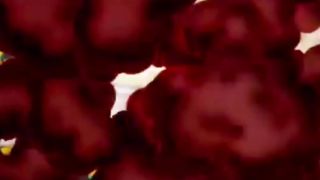 Tom to gaya aaj Tom and Jerry funny video ????????????