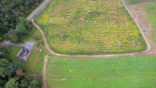 Beautiful green land