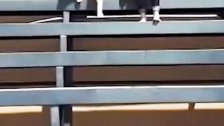 Funny Compilation Vídeos 14  Funny Fail Compilation