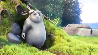 Test Buck Bunny