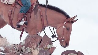 _Hold on up there_ I got this. -- __mule