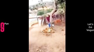 TRY NOT TO LAUGH ???? Best Funny Videos Compilation 2023 ????